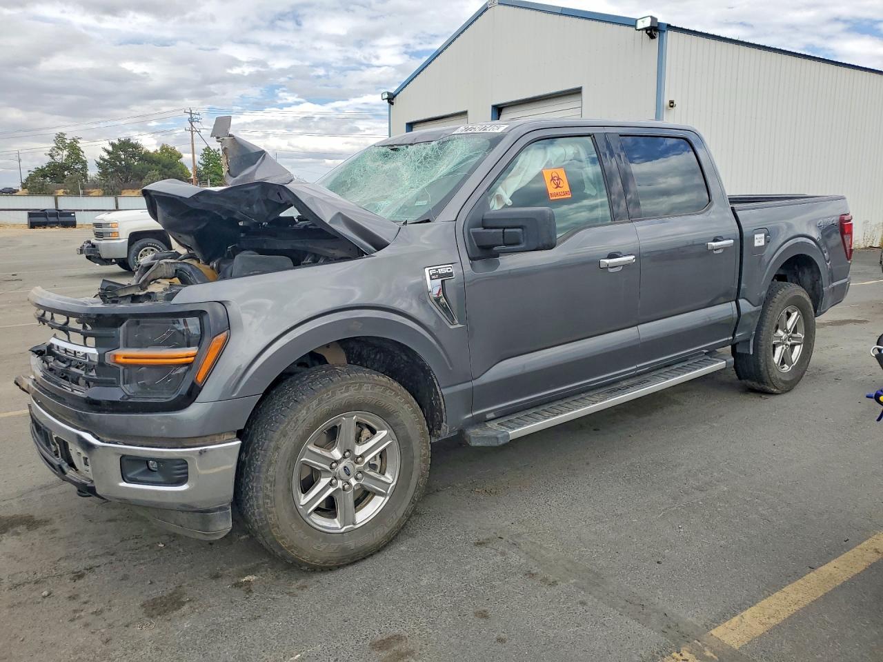 2025 Ford F150 Xlt