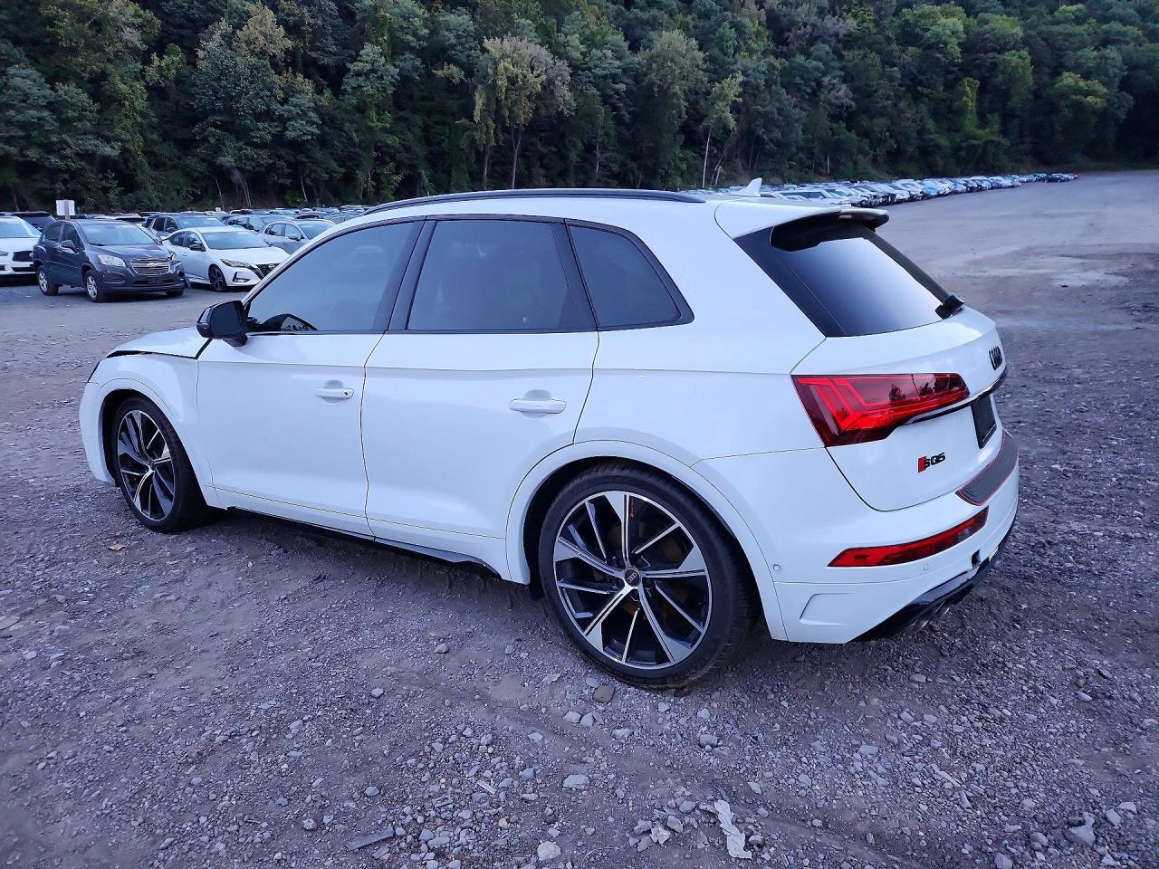 2024 Audi Sq5 Prestige - Фото 2