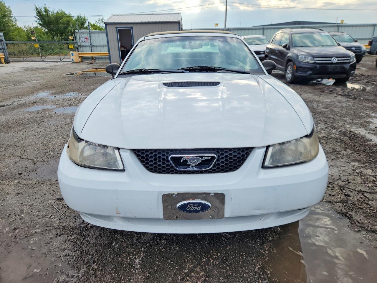 2001 Ford Mustang - Фото 5