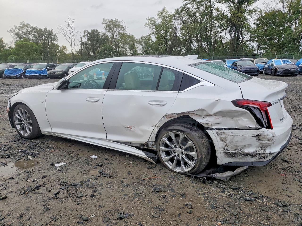 2021 Cadillac Ct5 Premium Luxury - Фото 2