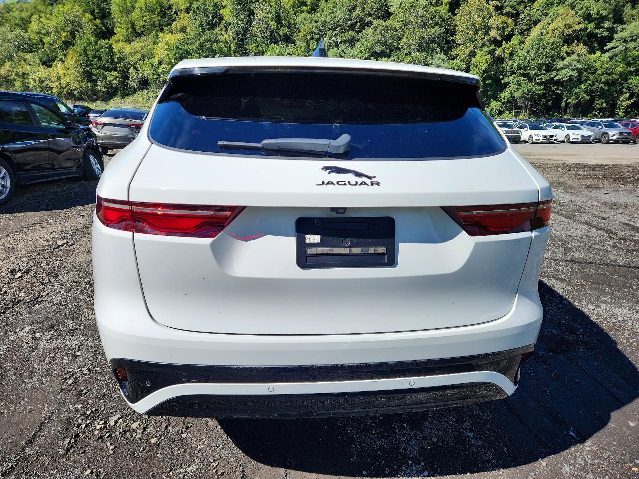2025 Jaguar F-Pace R-Dynamic S - Фото 6