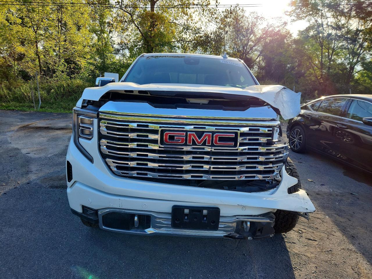 2025 GMC Sierra K1500 Denali - Image 5