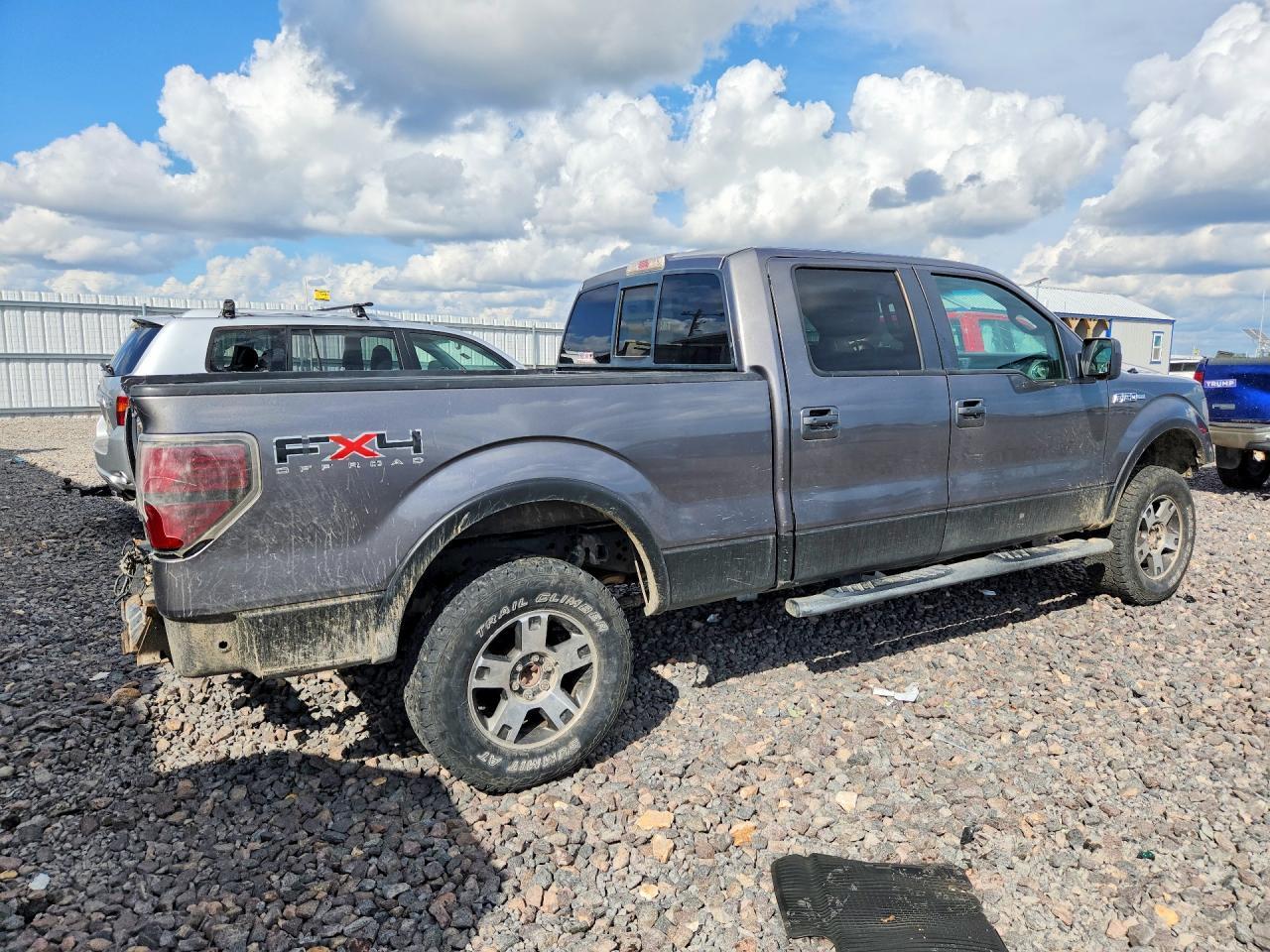2010 Ford F150 Supercrew - Фото 3