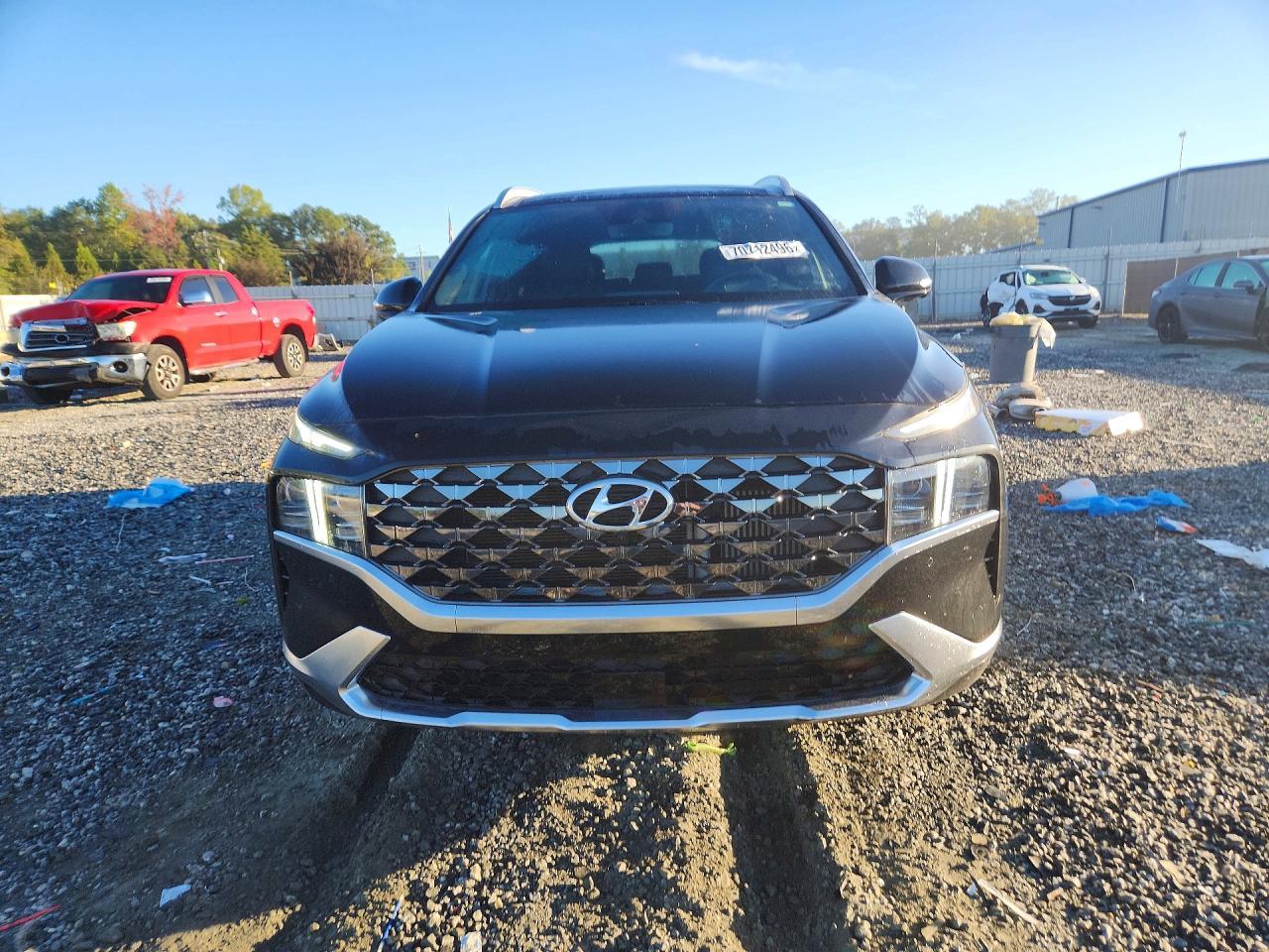 2023 Hyundai Santa Fe Calligraphy - Фото 5