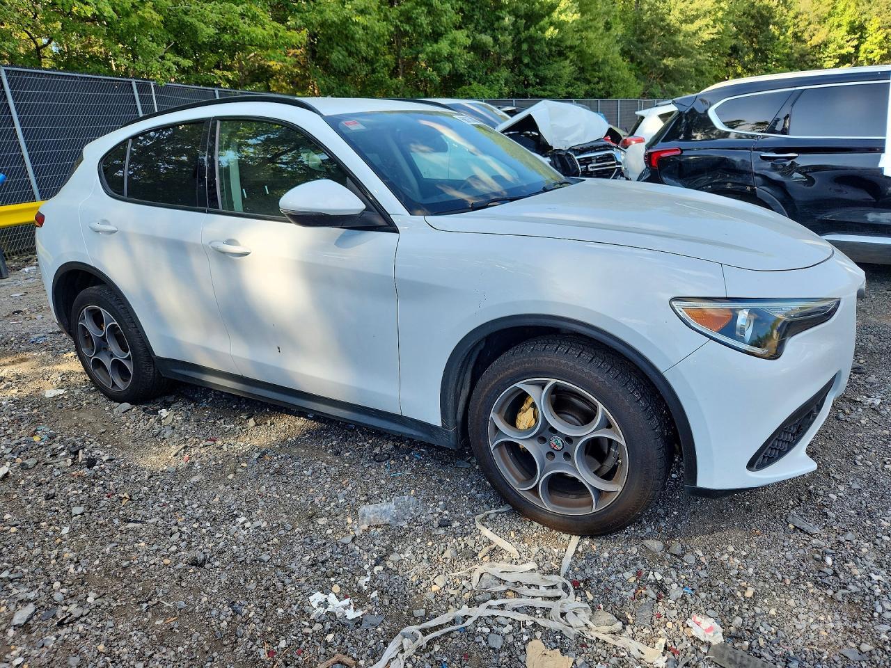 2018 Alfa Romeo Stelvio Sport - Фото 4