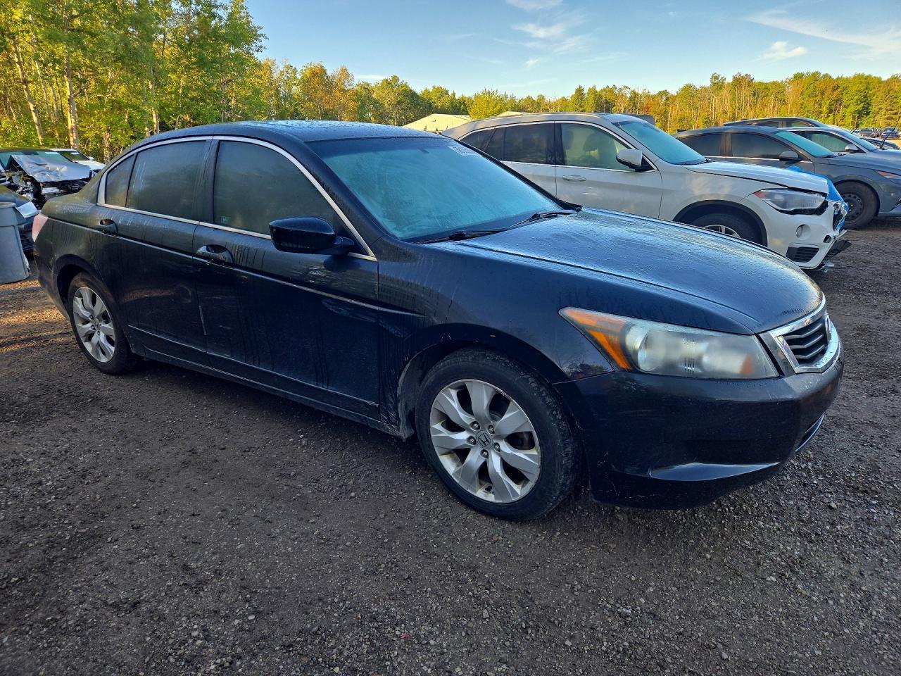2010 Honda Accord Exl - Фото 4