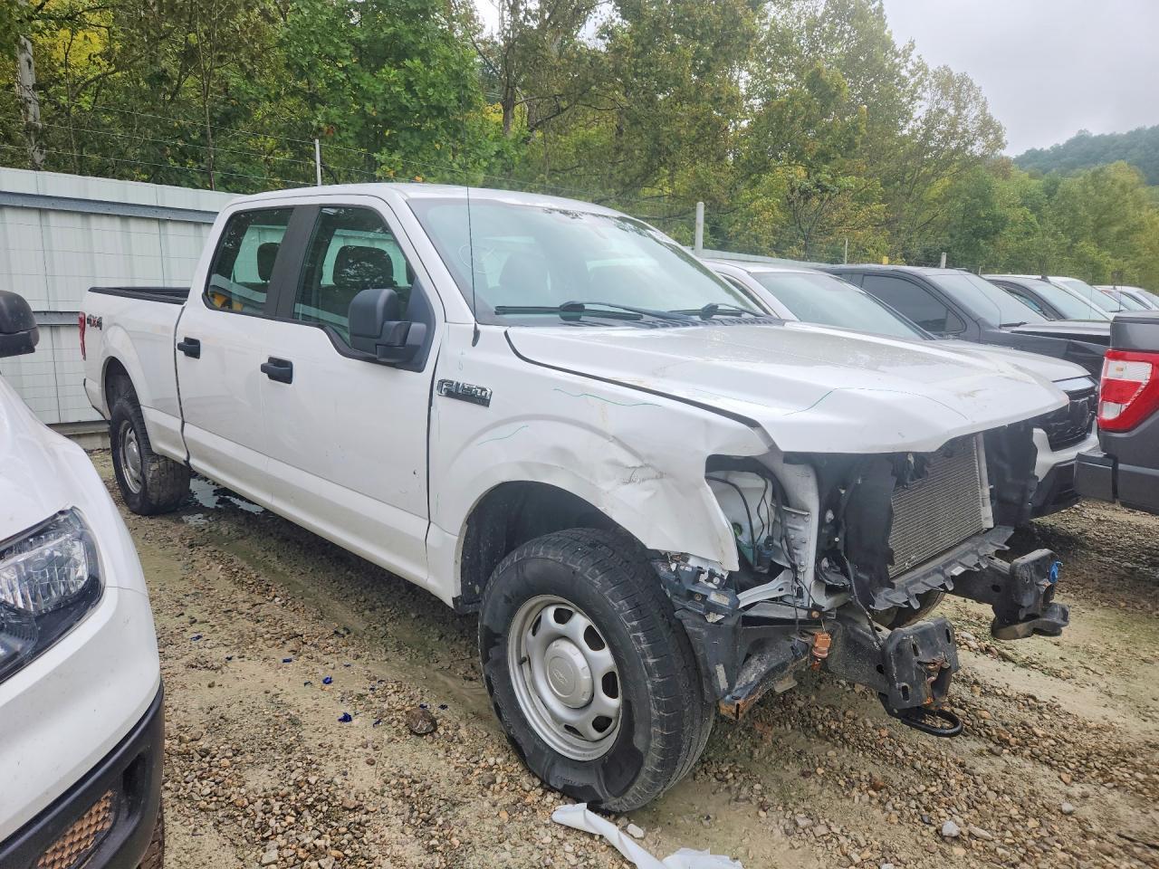 2020 Ford F150 Supercrew - Image 4
