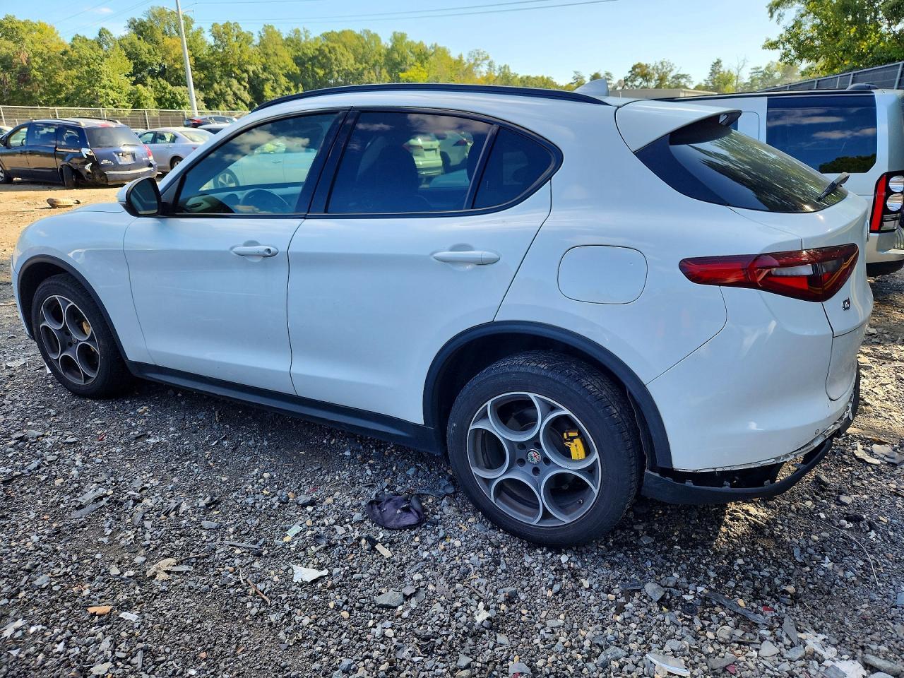 2018 Alfa Romeo Stelvio Sport - Фото 2