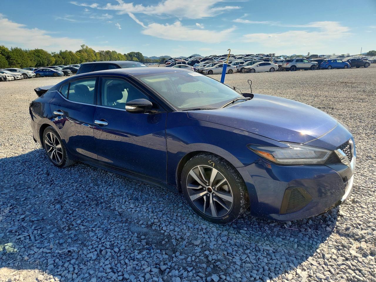 2023 Nissan Maxima Sv - Фото 4