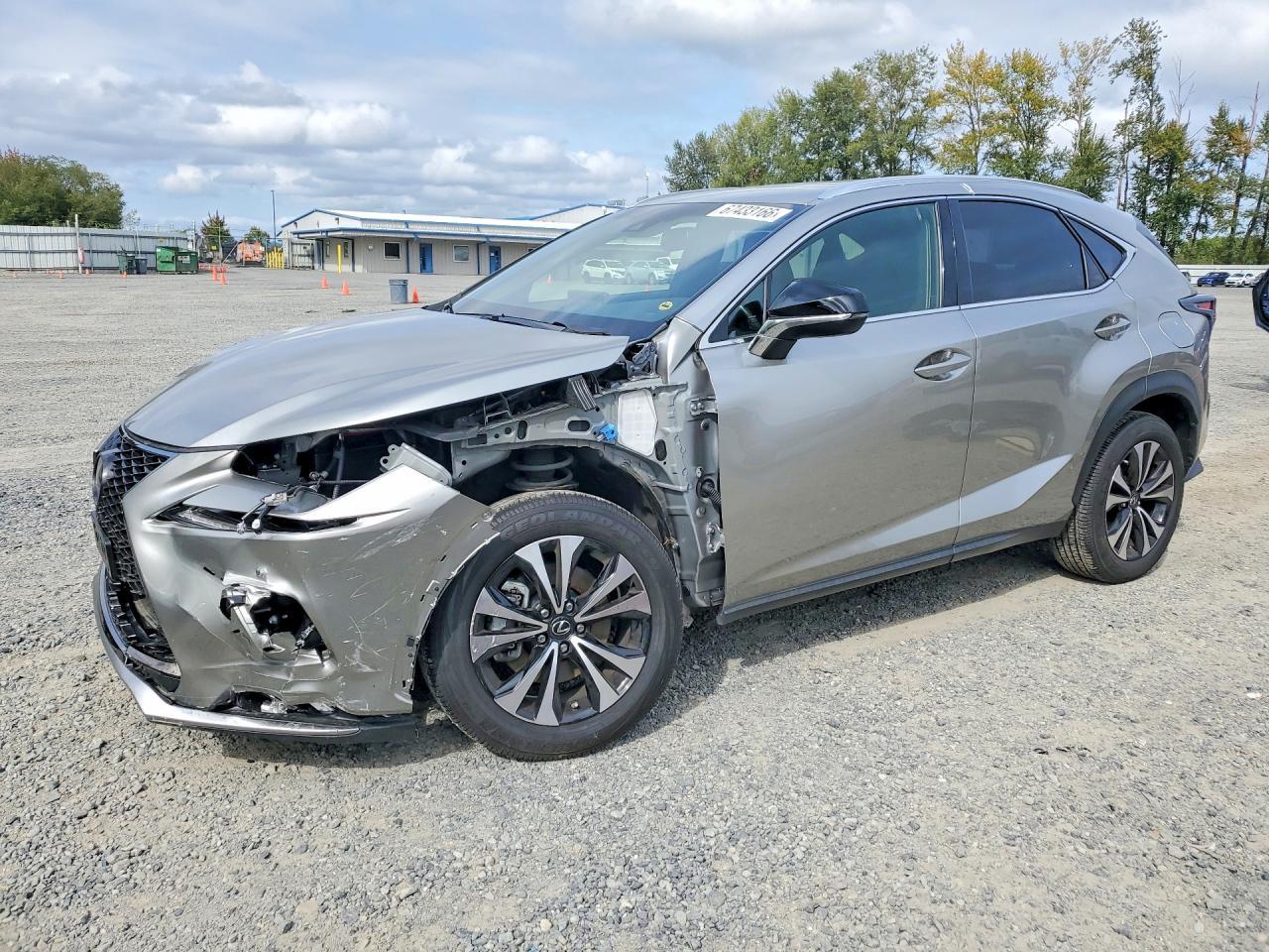 2019 Lexus Nx 300 F Sport