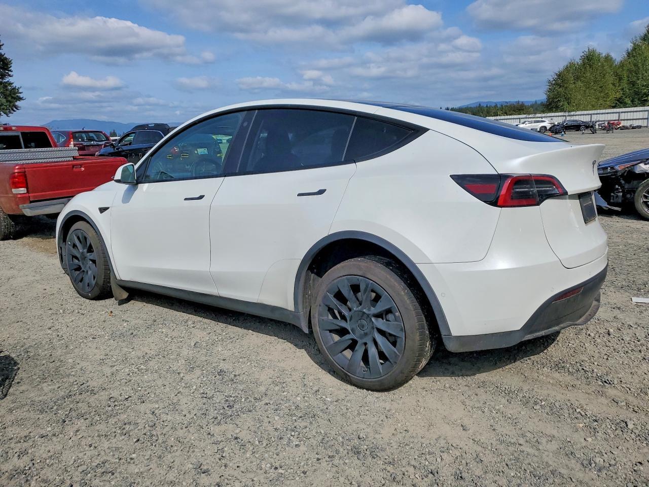 2022 Tesla Model Y - Фото 2