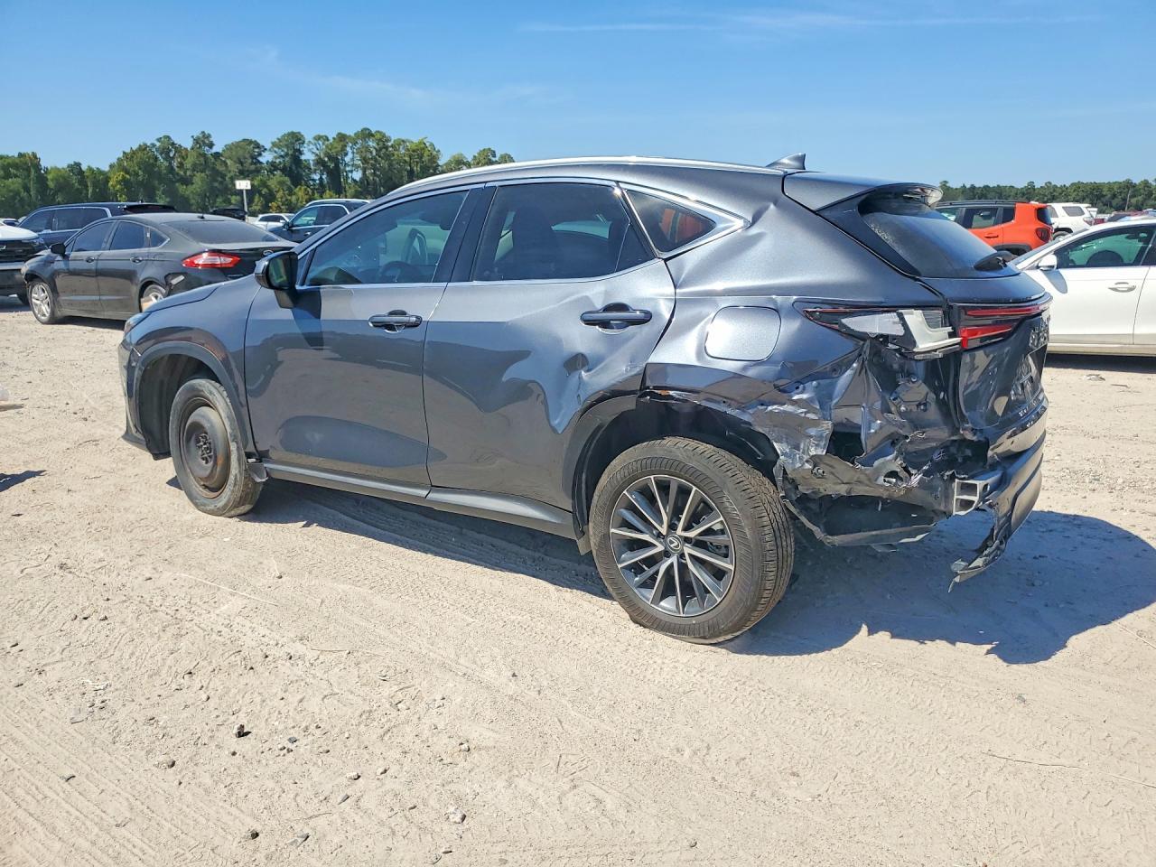 2024 Lexus Nx 250 Premium - Фото 2