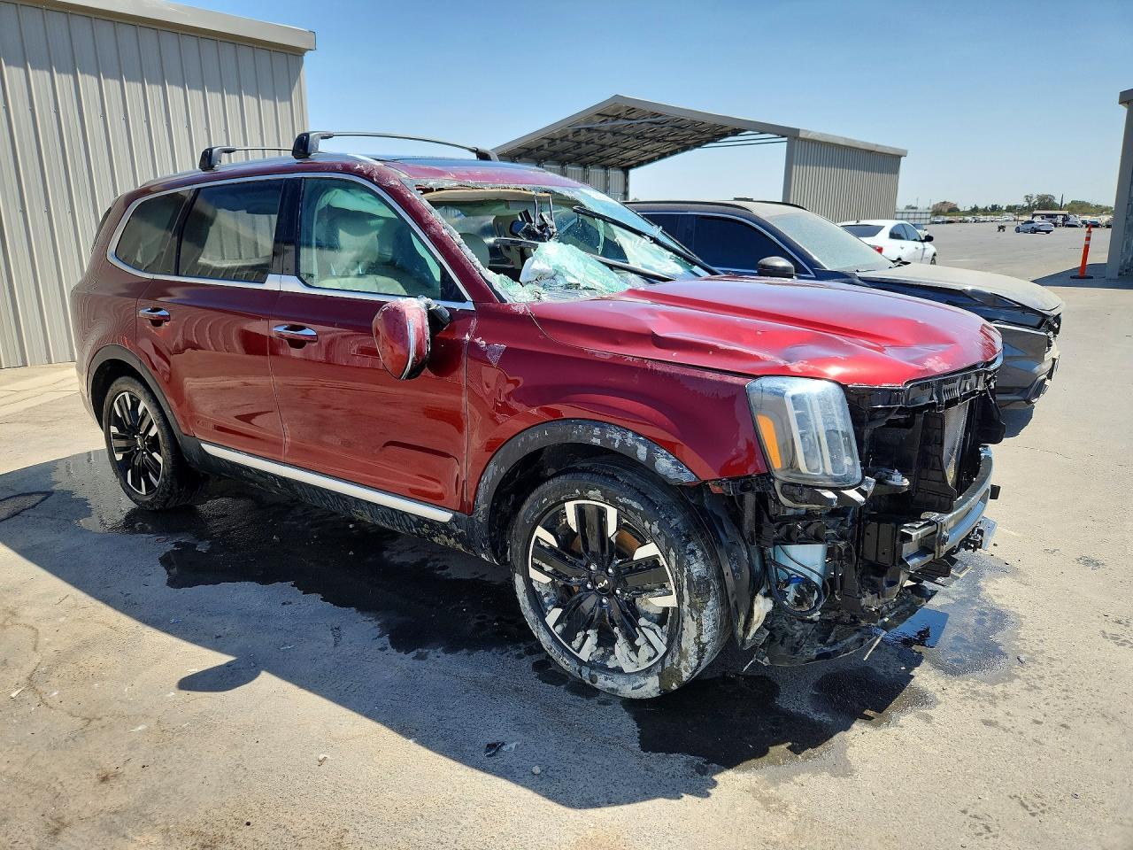 2024 Kia Telluride Sx - Фото 4