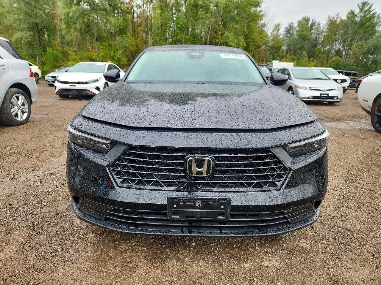2024 Honda Accord Ex - Image 5