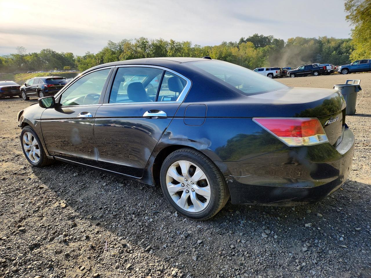 2008 Honda Accord Exl - Image 2