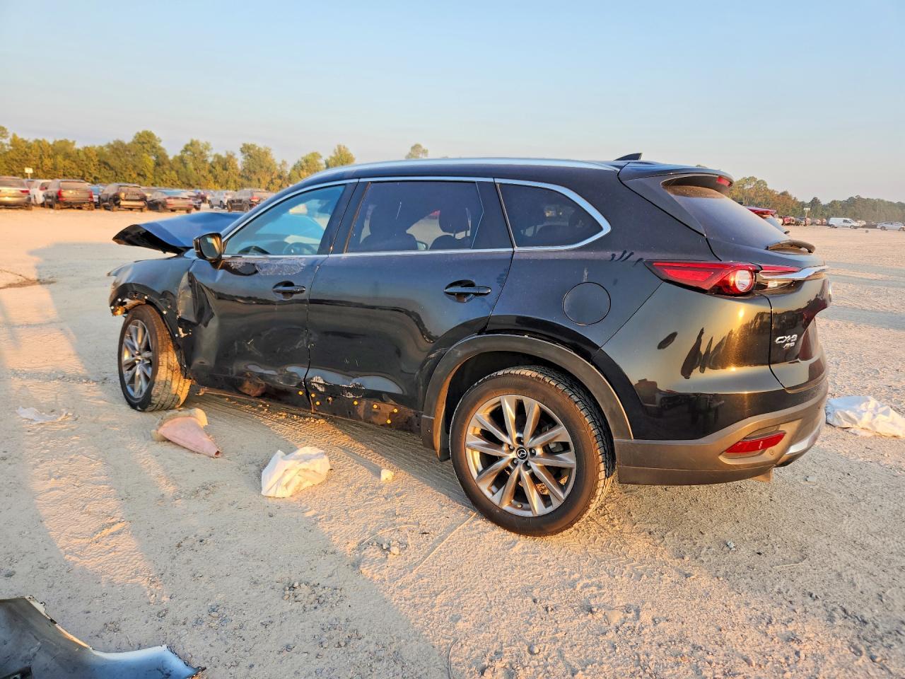 2018 Mazda Cx-9 Signature - Фото 2