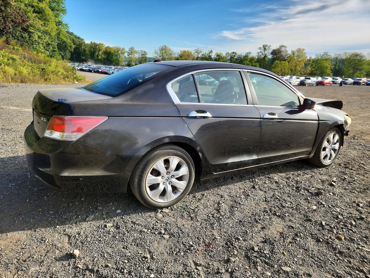 2008 Honda Accord Exl - Image 3