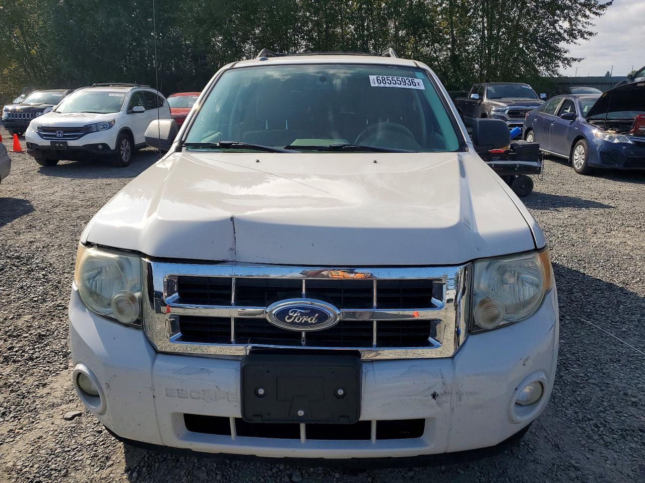2009 Ford Escape Xlt - Фото 5