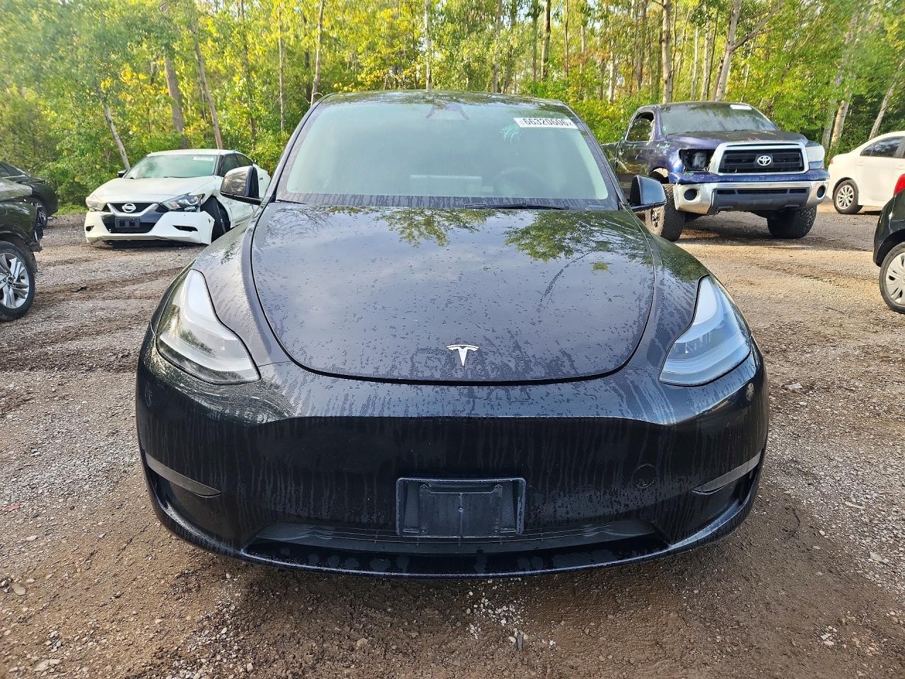 2024 Tesla Model Y - Фото 5