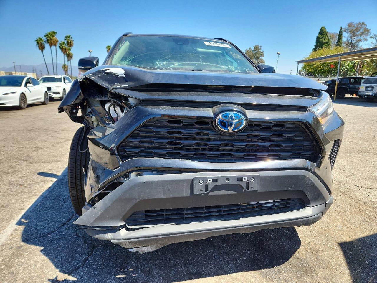 2024 Toyota Rav4 Hybrid Xle - Фото 5