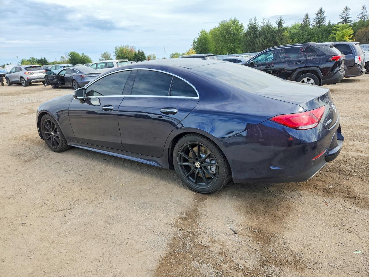 2019 Mercedes-Benz Cls 450 4Matic - Image 2