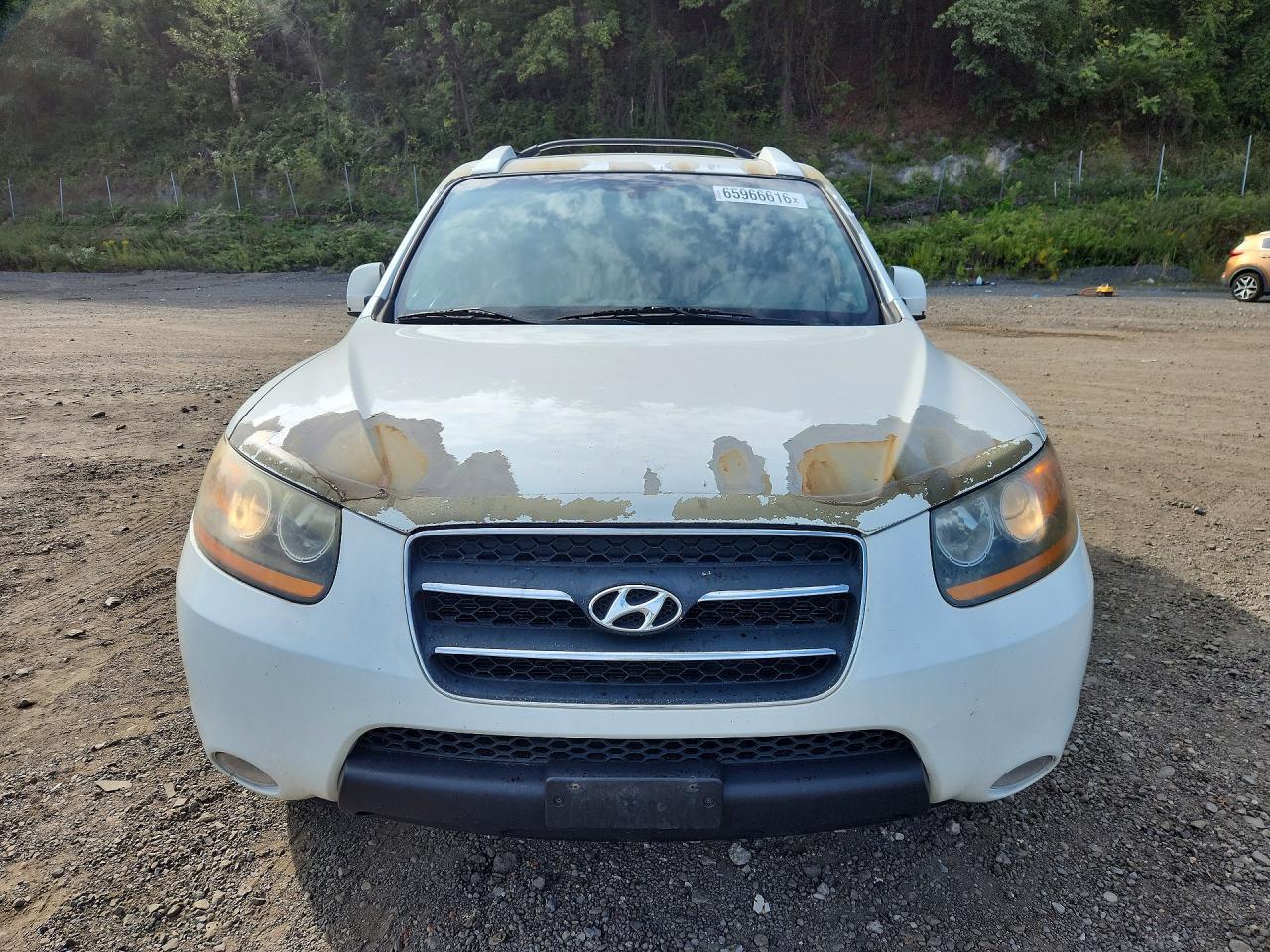2009 Hyundai Santa Fe Limited - Фото 5