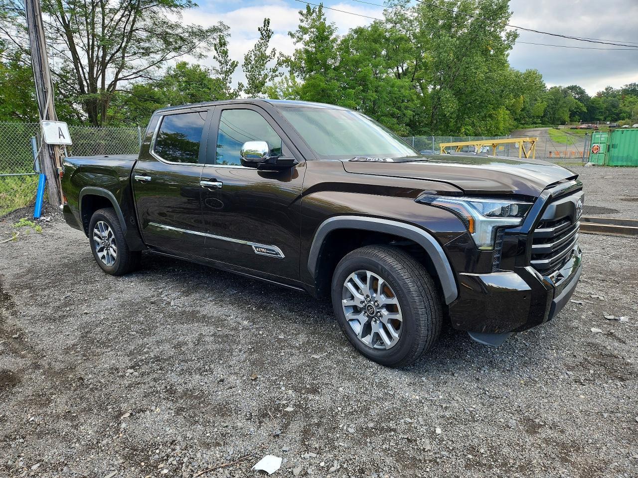 2024 Toyota Tundra 1794 Edition Hv - Фото 4