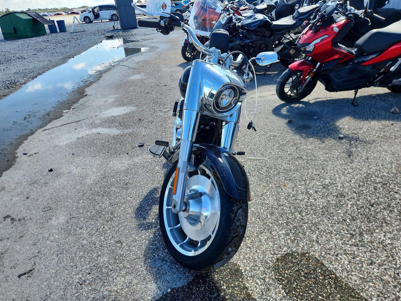 2024 Harley-Davidson Flfbs - Фото 2