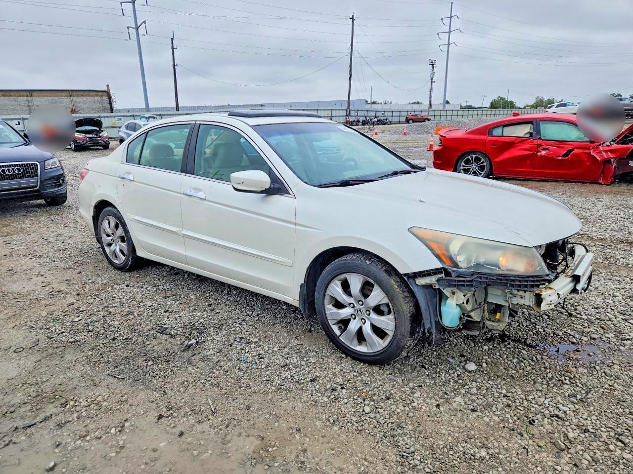 2010 Honda Accord Exl - Фото 4