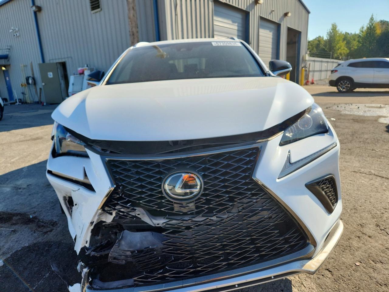 2019 Lexus Nx 300 F Sport - Фото 5