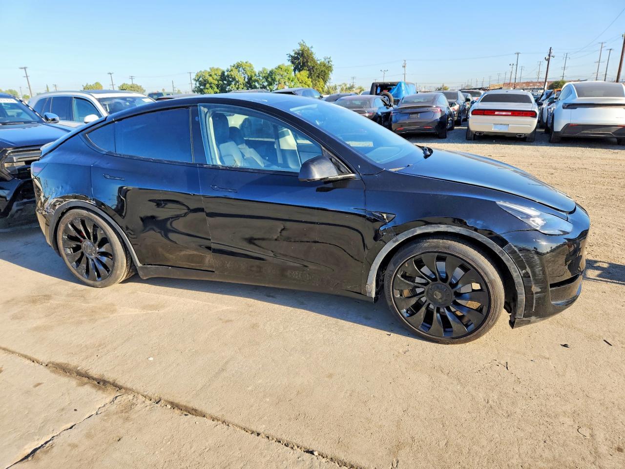 2022 Tesla Model Y - Фото 4