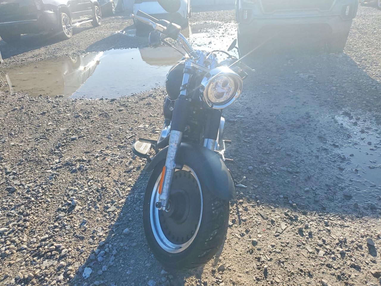 2011 Harley-Davidson Flstfb - Image 2
