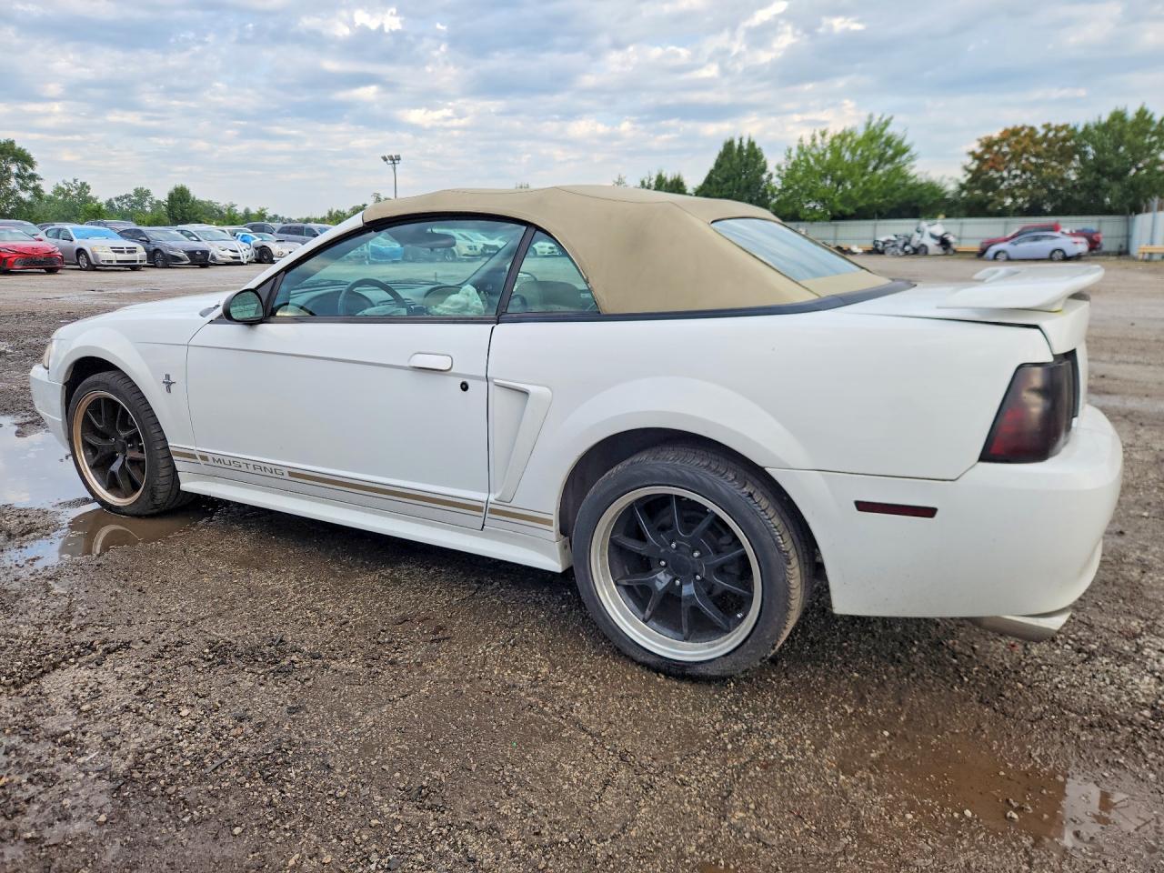 2001 Ford Mustang - Фото 2