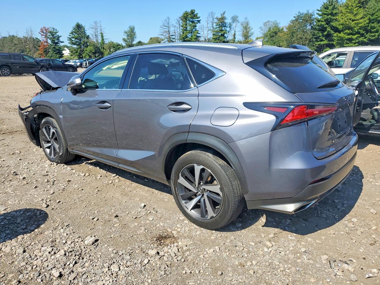 2021 Lexus Nx 300 Base - Фото 2