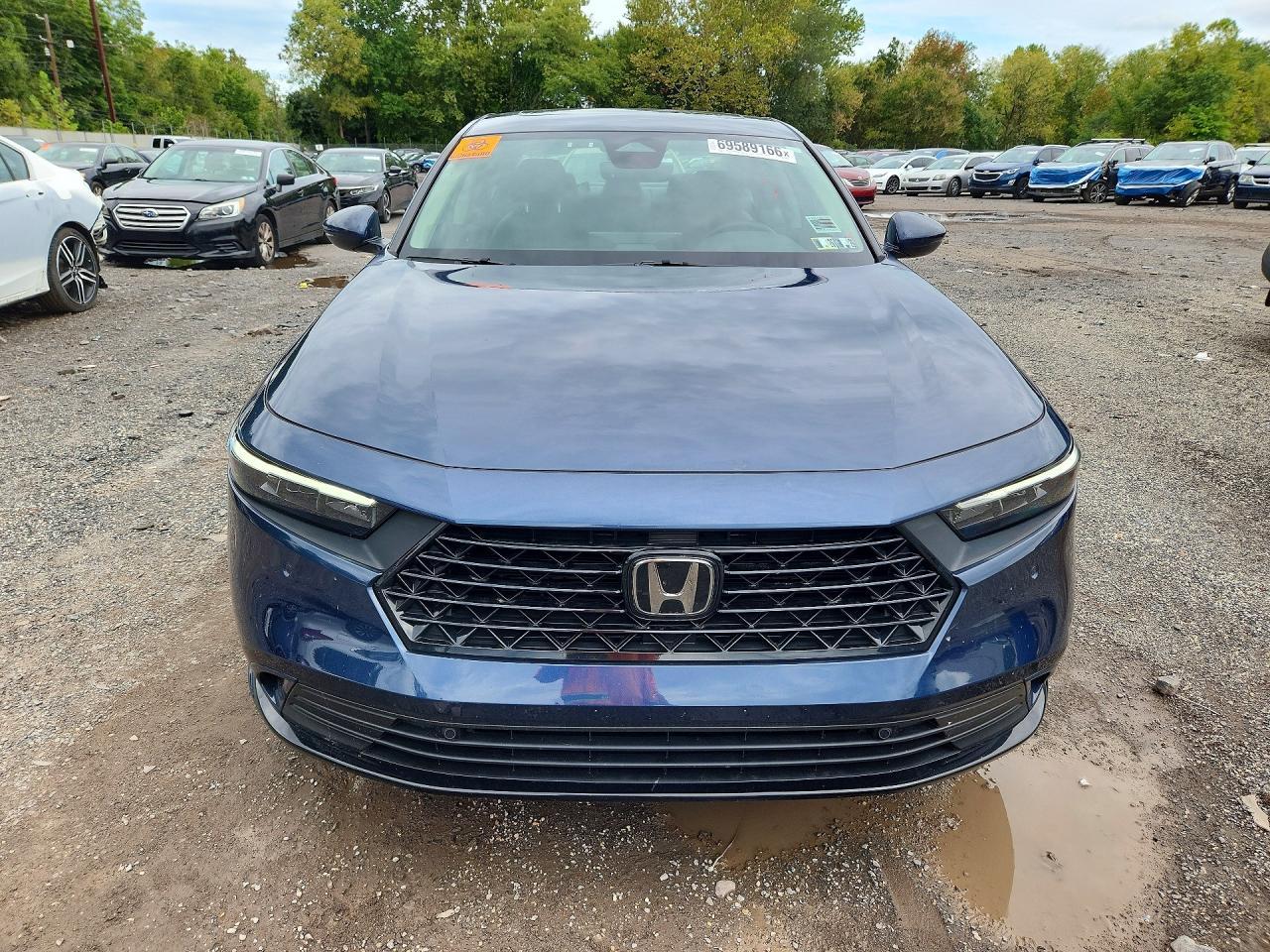 2025 Honda Accord Hybrid Exl - Image 5