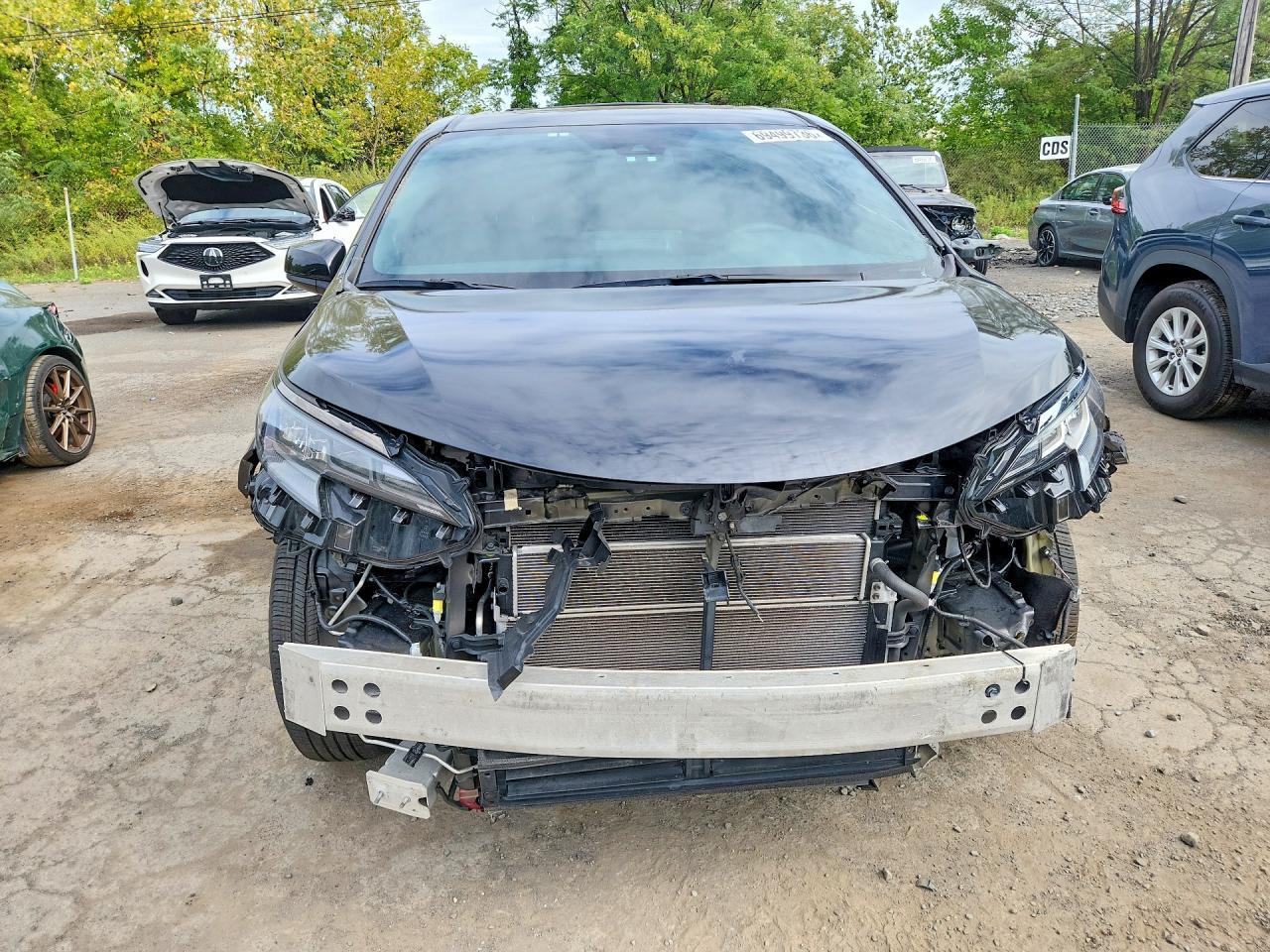 2023 Toyota Sienna Woodland Edition - Фото 5