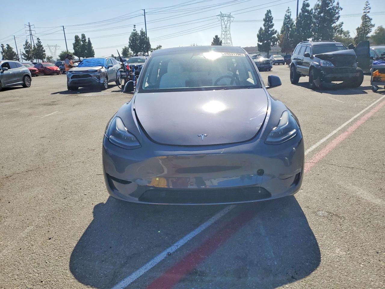 2023 Tesla Model Y - Фото 5