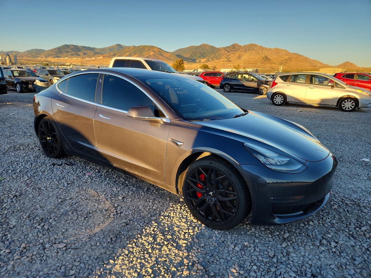 2020 Tesla Model 3 - Фото 4