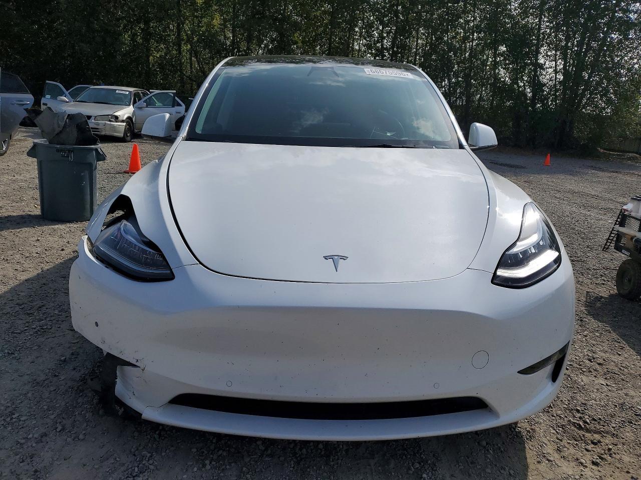 2022 Tesla Model Y - Фото 5