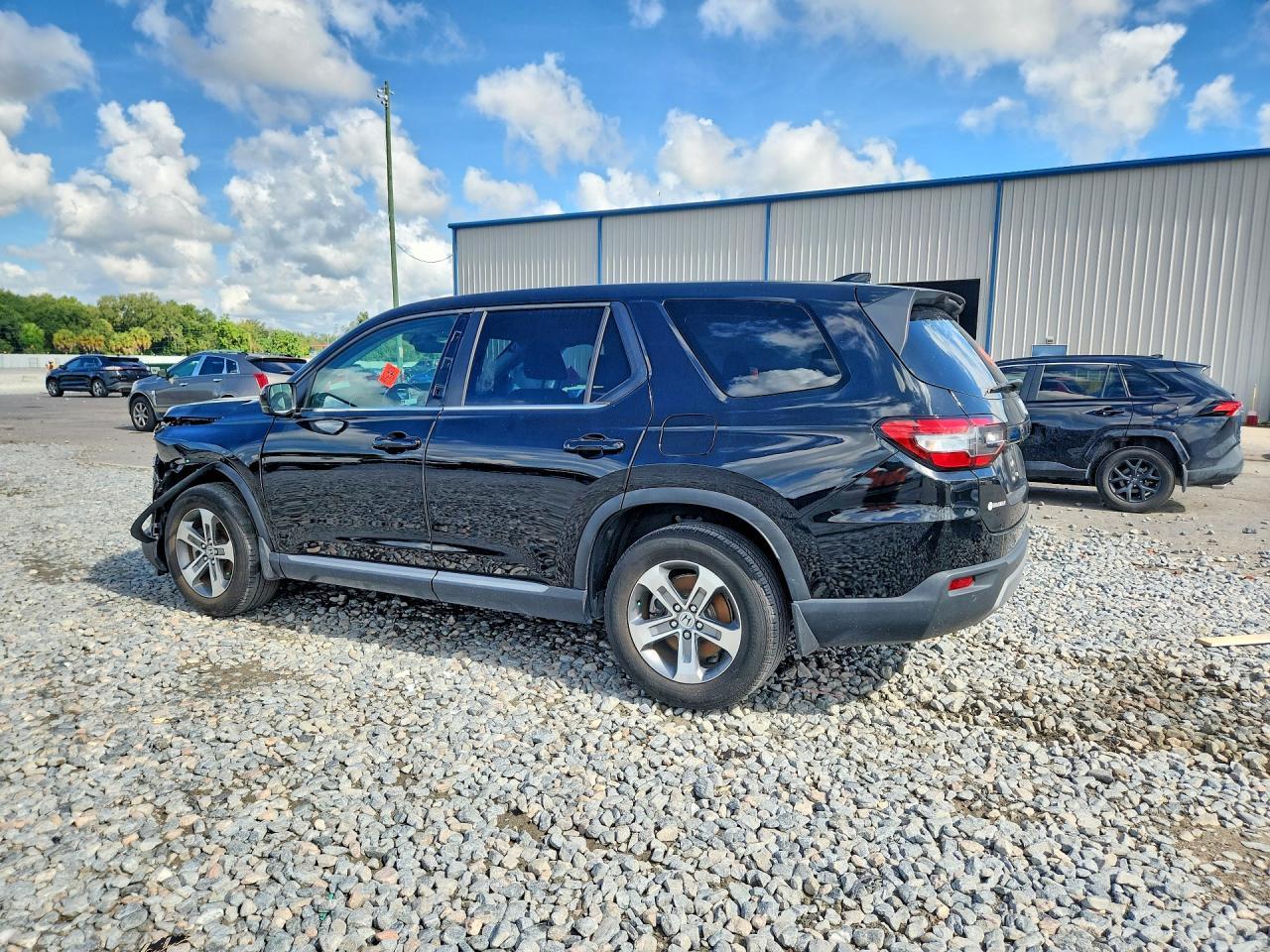 2024 Honda Pilot Exl - Фото 2