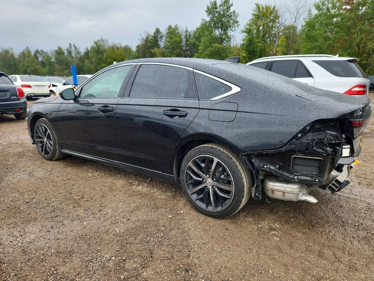 2024 Honda Accord Ex - Image 2