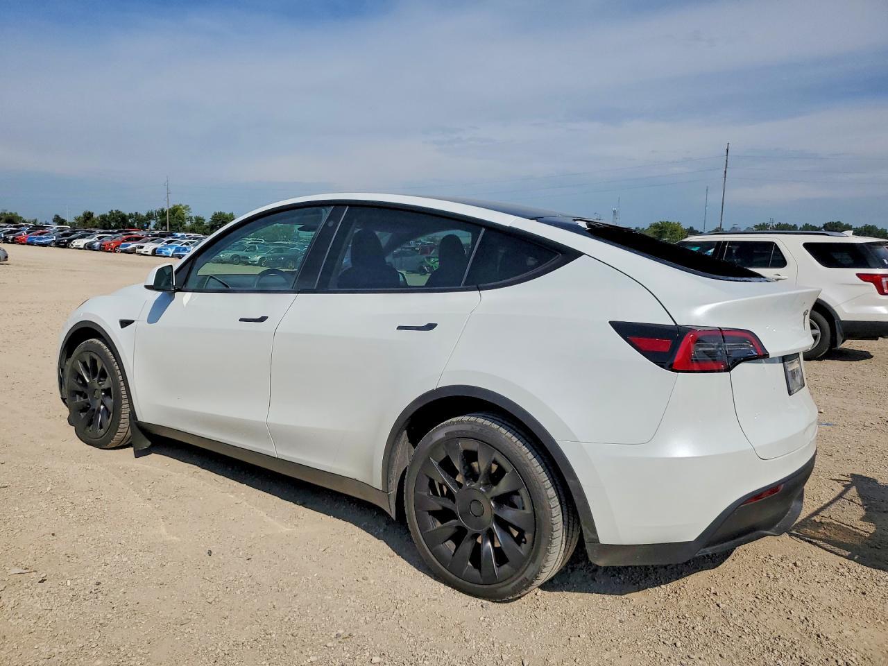 2023 Tesla Model Y - Фото 2