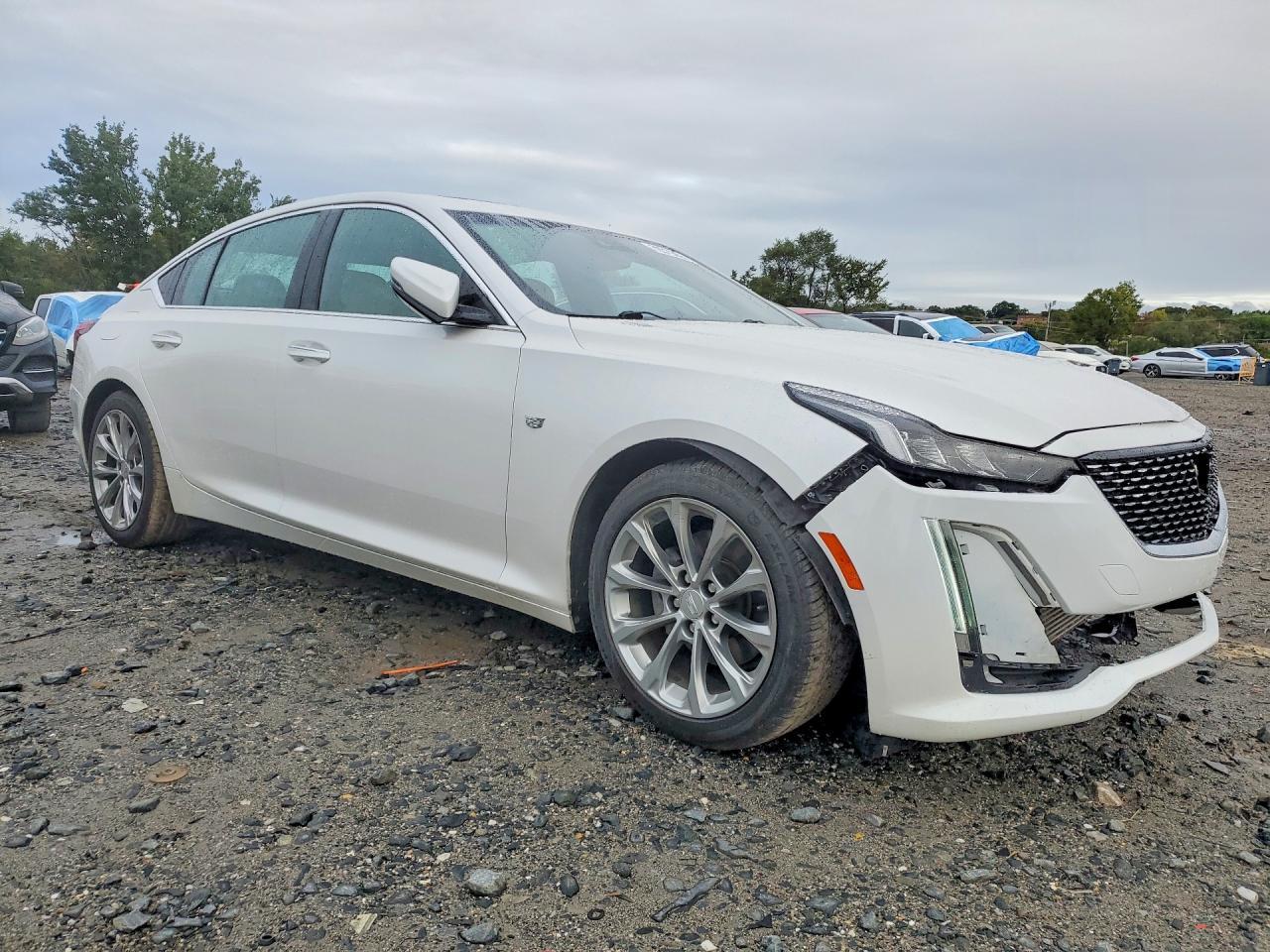 2021 Cadillac Ct5 Premium Luxury - Фото 4