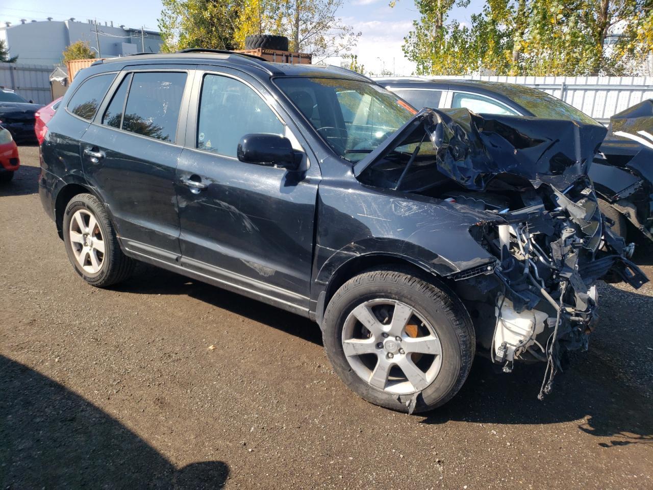 2007 Hyundai Santa Fe Se - Фото 4