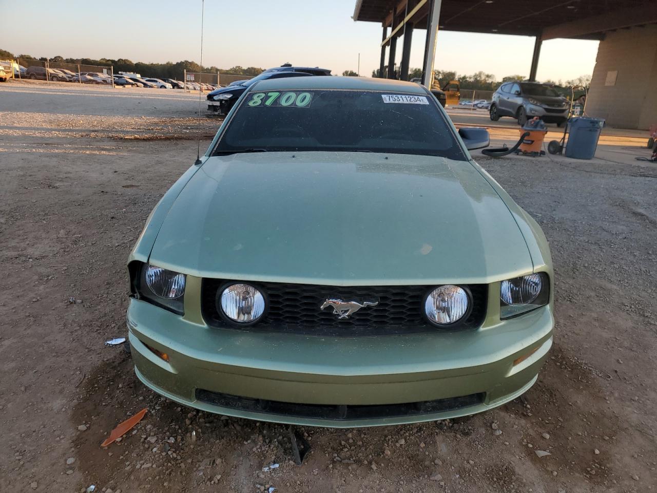 2006 Ford Mustang Gt - Фото 5