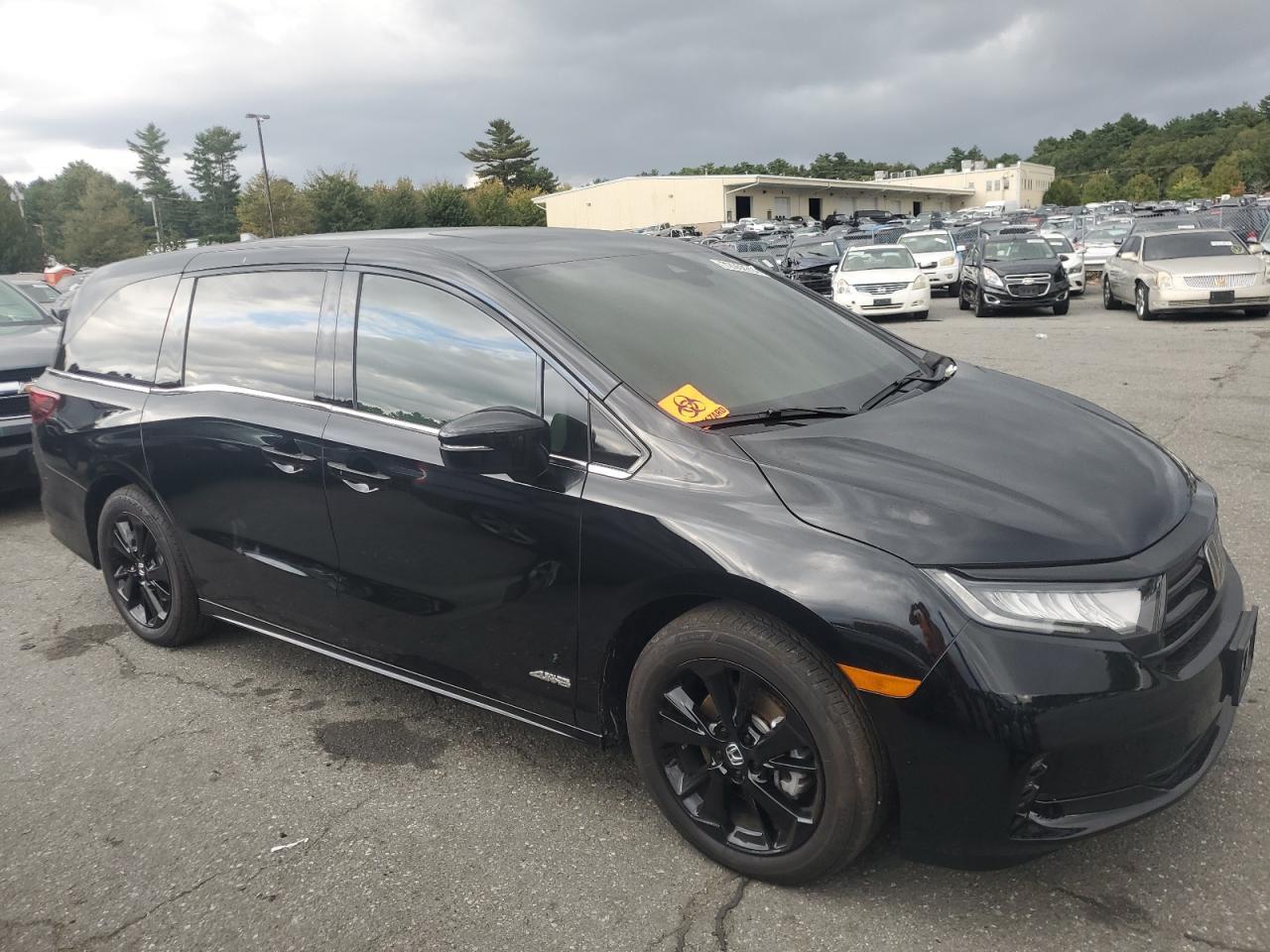 2024 Honda Odyssey Sport - Image 4