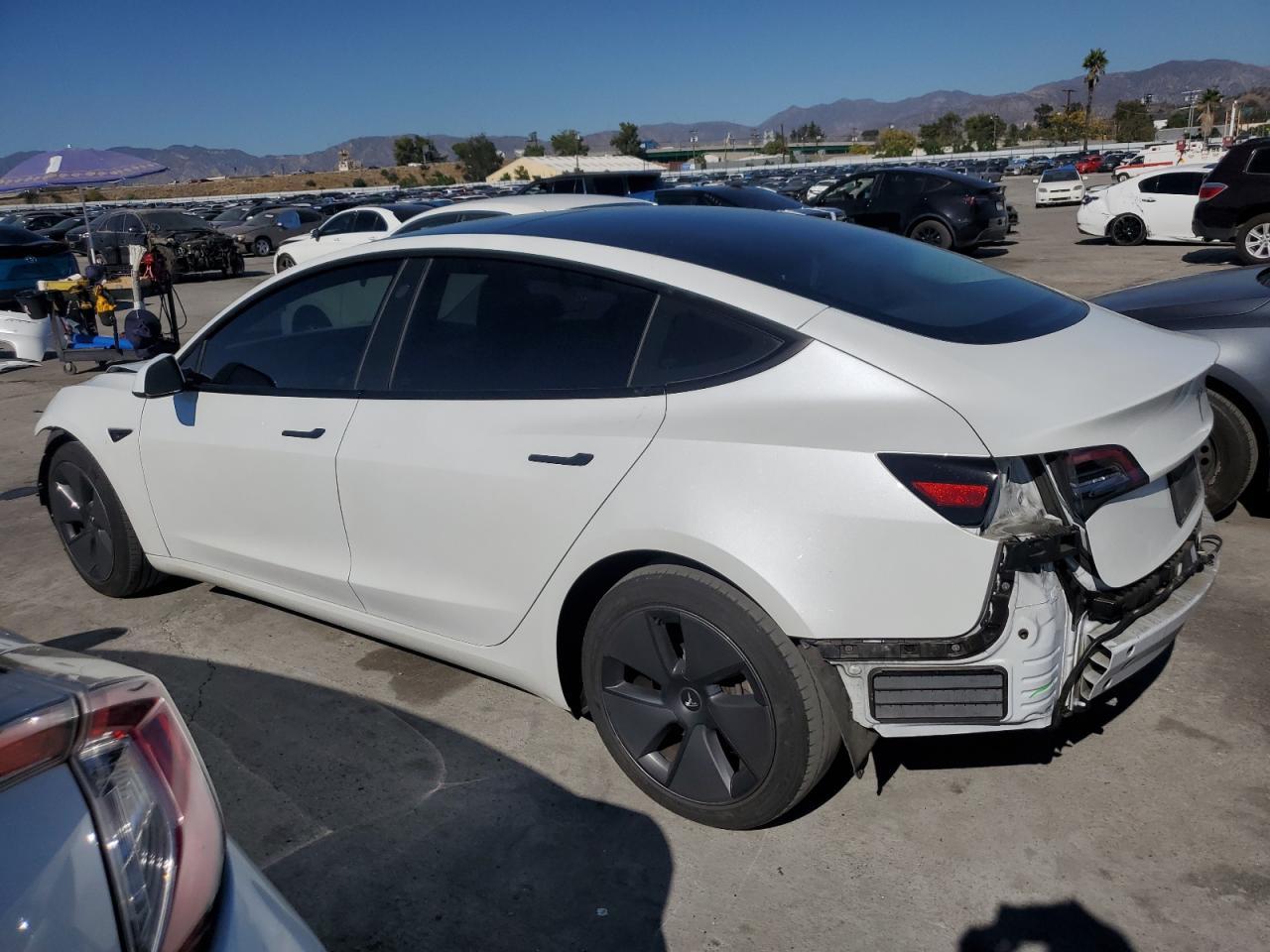 2023 Tesla Model 3 - Фото 2