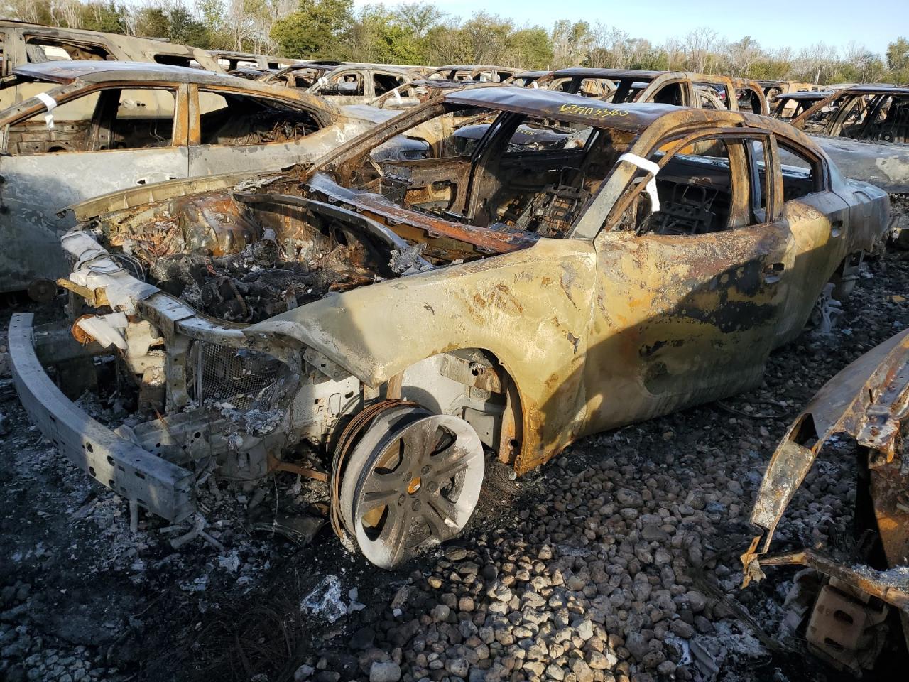 2019 Dodge Charger Sxt