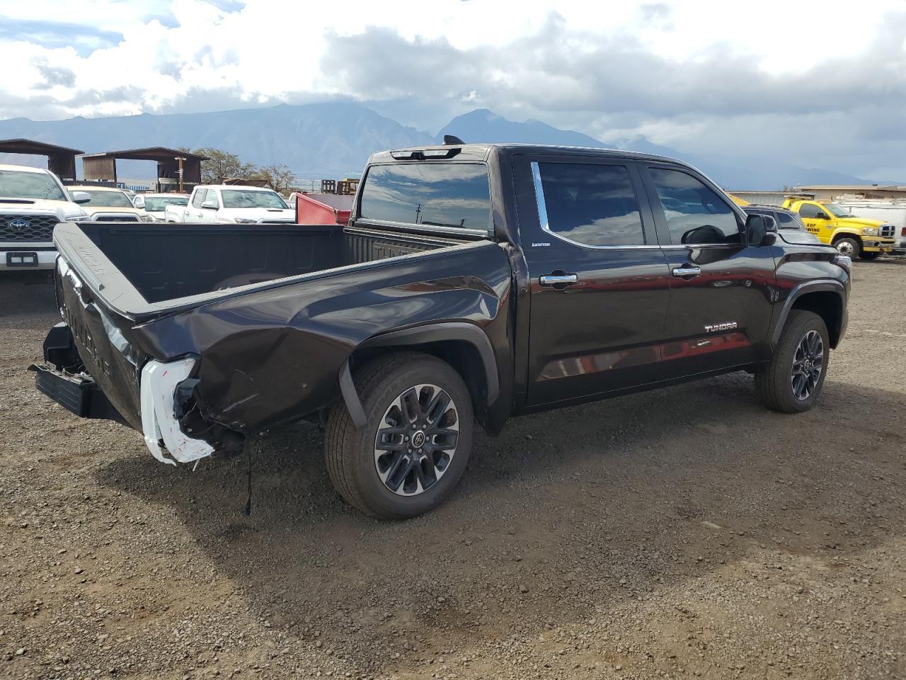 2024 Toyota Tundra Crewmax Limited - Фото 3