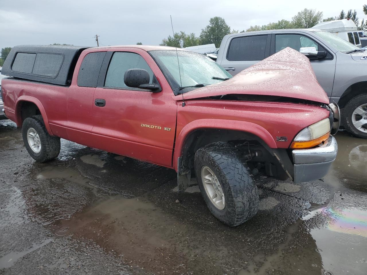 1999 Dodge Dakota - Фото 4